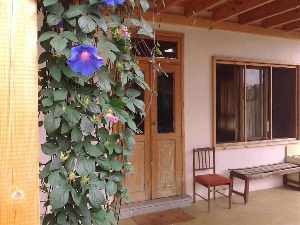 Clil Guest House Екстер'єр фото